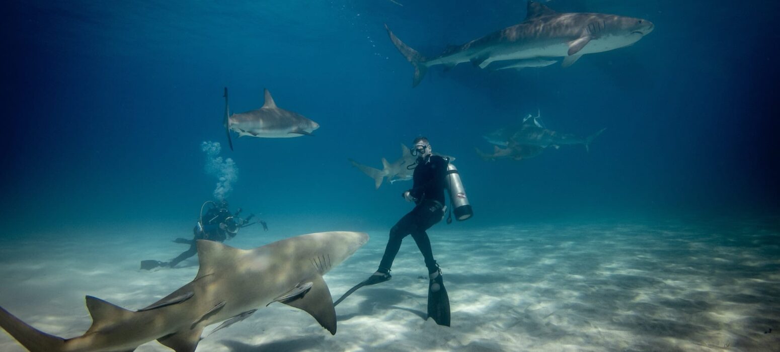 gerald-schombs-titrLVi32F8-unsplash