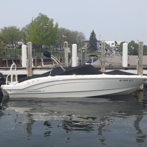 21' Chaparral Rental